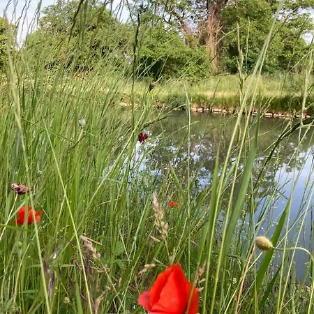 Gite Du Canal De Berry II Selles-sur-Cher Exterior photo